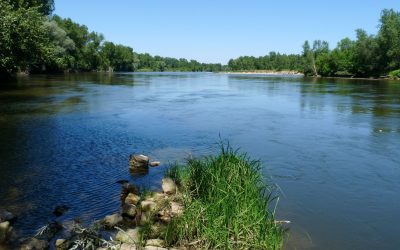 Découvrez les merveilles de la Loire : un incontournable du tourisme français !
