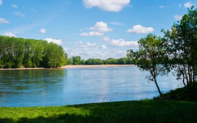 Quand la Loire défile : secrets et légendes inavouées de notre plus long fleuve