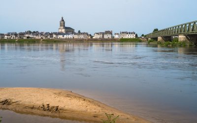 La Loire peut-elle disparaître ? : Les secrets de la survie du fleuve sauvage