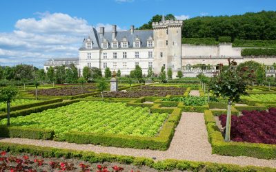La Loire à Contre-courant : Mystères et Secrets de la Dernière Grande Rivière Sauvage d’Europe