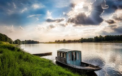 Loire : Le Mystère des Arômes Inexplorés du Vin de la Région
