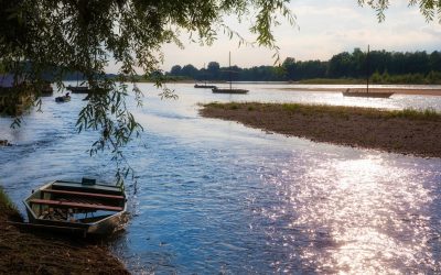 La Loire : Secret de la Survivance des Espèces Préhistoriques?