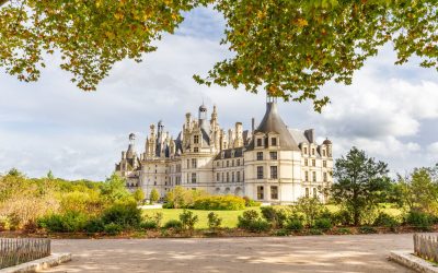 La Loire : Le Secret des Vins Millénaires Révélé ?